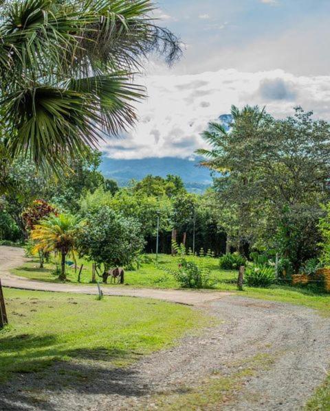 Linda Casa De Verano Con Amplias Zonas Verdes San Isidro De El General Dış mekan fotoğraf