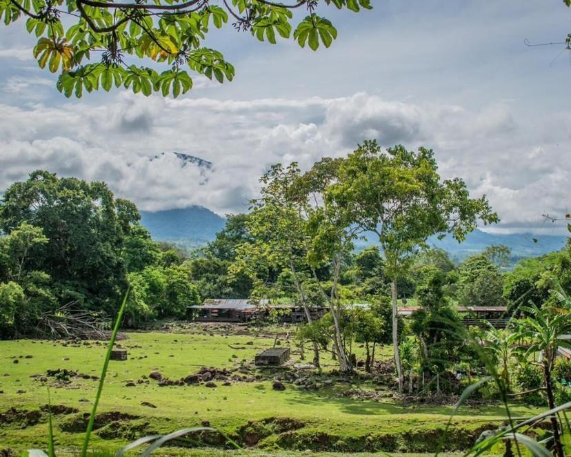 Linda Casa De Verano Con Amplias Zonas Verdes San Isidro De El General Dış mekan fotoğraf
