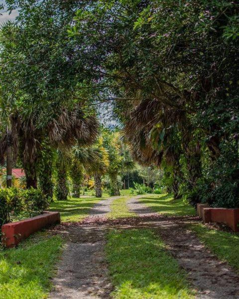 Linda Casa De Verano Con Amplias Zonas Verdes San Isidro De El General Dış mekan fotoğraf